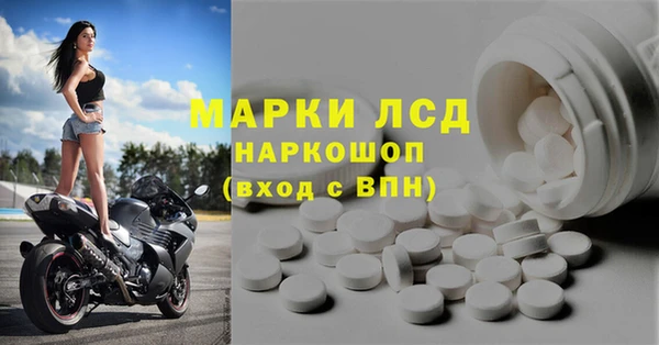 spice Аркадак