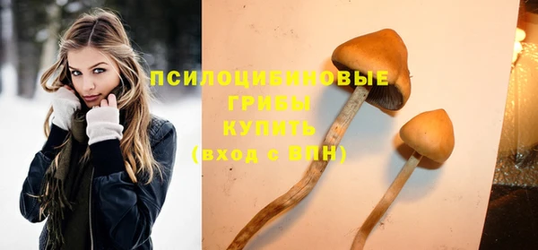 гидра Инсар