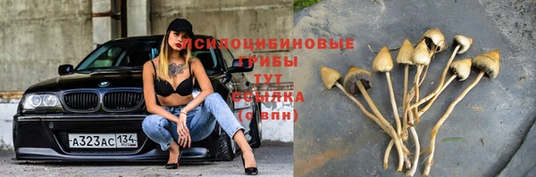 наркотики Алексин